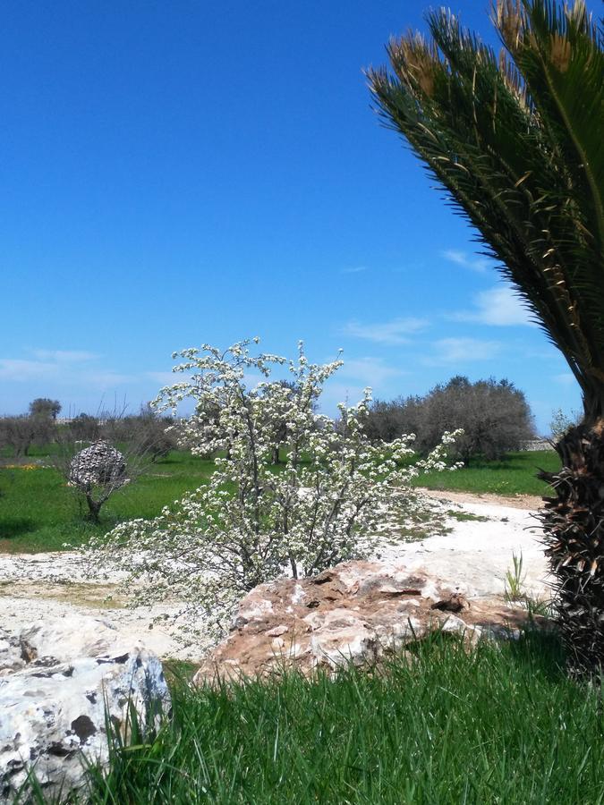 Hotel Trulli Pietra Preziosa Martina Franca Exteriér fotografie