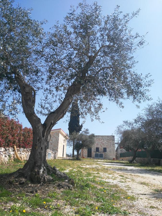 Hotel Trulli Pietra Preziosa Martina Franca Exteriér fotografie